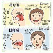 鼻呼吸と口呼吸の違い